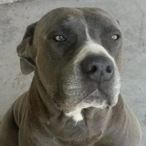 Meet your Posher, Celsa